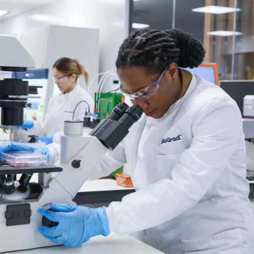 biograd-banking-reseach